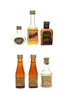 Assorted Orange Liqueurs Aurum, Bols, Borvili, Cusenier, Nadal, 6 x 2cl-5cl