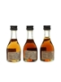 Delamain Pale & Dry, Aigle Imperiale & Selection Bottled 1960s - D & C 3 x 2.9cl / 40%