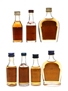 Stock 84 & Royalstock Brandy Bottled 1960s-1970s 7 x 3cl-4cl / 40%