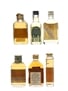 Assorted Scotch Whisky & Bourbon Antiquary, Glen Grant, J & G Grant, Marchants, Walker's, White Stag 6 x 2.5cl-4.7cl