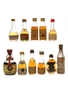 Assorted Brandy & Calvados  11 x 2cl-9cl