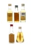 Glenallachie, Glen Ord, Highland Park, Inchgower & Oban 8 Year Old & 12 Year Old 5 x 5cl