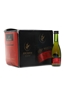 Remy Martin VSOP  12 x 5cl / 40%