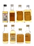 Assorted Blended Scotch Whisky Famous Grouse, Haig, Jacobite & Mackinlay's 8 x 5cl / 40%