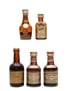 Benedictine, Cointreau & Drambuie Bottled 1960s-1970s 5 x 3cl-5cl