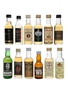 Assorted Blended Scotch Whisky Big T, Black Prince, Dice, Old Barrister, Prince, Tax Collector & W5 12 x 3.9cl-5cl