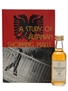 Macallan 10 Year Old A Study Of Albanian Shopping Malls 5cl / 40%