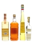 Buton, Galliano, Sarti & Strega Liqueur  4 x 35cl-100cl