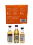 Whisky Selection Set Famous Grouse, Grant's & Teacher's 3 x 5cl / 40%