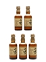 Yamazaki 12 Year Old  5 x 5cl / 43%