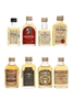 Assorted Blended Scotch Whisky Edinburgh Castle, House Of Lords, Macleod's, MacDonald's Mackinlay's Old Royal & White&Mackay 8 x 5cl