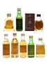 Assorted Blended Scotch Whisky Bell's, Clan Campbell, Dimple, Famous Grouse, Grant's, Haig, Sheep Dip & White Horse 8 x 5cl / 40%