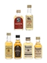 Assorted Blended Scotch Whisky MacDonald's Glencoe, Mackinlay & Teacher's 6 x 5cl