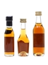 Assorted Cognac & Armagnac Comte De Lauvia, Martell, Tesseron 2 x 3cl & 5cl / 40%