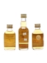 Paddy & Tullamore Dew Irish Whiskey 3 x 5cl-7.1cl / 40%