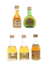 Assorted Armagnac, Brandy & Cognac Bardinet, Salignac, Puysegur, St Michael 3 x 5cl, 2 x 3cl