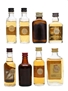 Antiquary, Ballantine's, Chivas Regal, Crawford's, Haig & White Horse  8 x 5cl