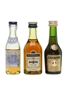 Martell Medaillon, VS, VOP Bottled 1960s-1970s 3 x 3cl / 40%