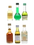 Assorted French Liqueurs Bardinet, Berger, Cusenier, Izarra, Marnier Lapostolle & Ricard 6 x 2.5cl-5cl