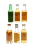 Assorted Blended Scotch Whisky Cutty Sark, Famous Grouse, Grant's, Match & Pig's Nose 6 x 4.7cl-5cl