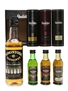 Tomintoul 12yo & Glenfiddich Miniatures Set 33.33cl & 3 x 5cl 