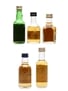 Assorted 12 Year Old Blended Scotch Whisky Ambassador Royal, Burberrys, House of Lords, Langs & Slaintheva 5 x 5cl