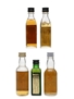 Assorted Blended Scotch Whisky Francis, Gold Label, Passport, Prince Howard, Old Inverness 5 x 2.8cl-5cl