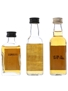 Assorted Blended Scotch Whisky Big 'T', Campbeltown Loch, Glen Rosa 3 x 5cl