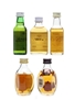 Assorted Blended Scotch Whisky Black & White, Cluny, Dewar's, Dimple 5 x 5cl