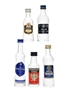 Assorted Vodka Eristof, Finlandia, Gorbatschow, Romanoff & Nikita 5 x 4-5cl