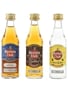 Havana Club 3 Year Old, Anejo Especial, Seleccion De Maestros 3 x 5cl