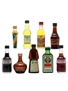 9 x Assorted Liqueur Miniatures 