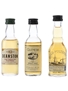 Deanston, Glenesk & Old Pulteney 12 Year Old  3 x 5cl