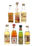 Assorted Brandy Asbach Ultra, Elichagaray, Gardeny 101, Metaxa, Morey, San Rival 7 x 3cl-5cl