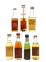 Assorted Brandy Asbach Ultra, Elichagaray, Gardeny 101, Metaxa, Morey, San Rival 7 x 3cl-5cl