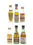 Assorted Brandy Metaxa, Osborne, Torres 6 x 3cl-5cl