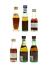 Assorted Brandy Metaxa, Osborne, Torres 6 x 3cl-5cl