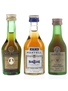 Martell Cordon Bleu, Medaillon & 3 Star Bottled 1970s 3 x 3cl / 40%