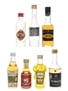 Assorted Portugese & Spanish Liqueurs Campeny, Cocal, Domuz, Fontes 7 x 3cl-5cl