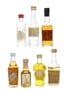 Assorted Portugese & Spanish Liqueurs Campeny, Cocal, Domuz, Fontes 7 x 3cl-5cl