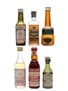 Assorted Liqueurs & Spirits Aalborg, Master's, Polmos, Sans Rival, Wolfschmidt 6 x 4cl-6cl