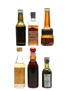 Assorted Liqueurs & Spirits Aalborg, Master's, Polmos, Sans Rival, Wolfschmidt 6 x 4cl-6cl