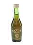 Camus Celebration  5cl