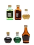 Assorted Italian Liqueurs Aurum, Casoni, Stock 6 x 2.5cl-3cl