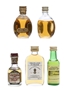 Assorted Scotch Whisky  5 x 5cl