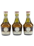 Benedictine DOM  3 x 5cl / 40%