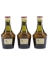 Benedictine DOM  3 x 5cl / 40%