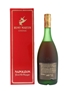 Remy Martin Napoleon  70cl