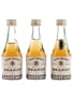 Sandeman Capa Negra De Luxe Brandy  3 x 4cl / 40%