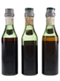 Martini Vino Vermouth Bottled 1940s-1950s 3 x 5cl / 17%